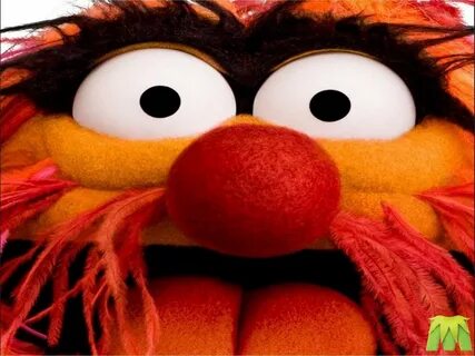 Muppets Animal Wallpapers - Wallpaper Cave