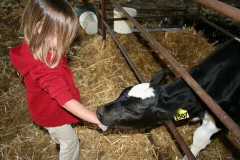 The Wife of a Dairyman Churned in Cali: Nothing like a good 