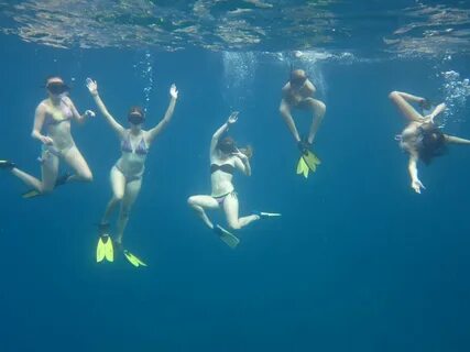 snorkel, scuba and free diving vol1. 