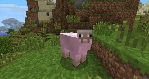 I found a pink sheep! - Discussion - Minecraft: Java Edition