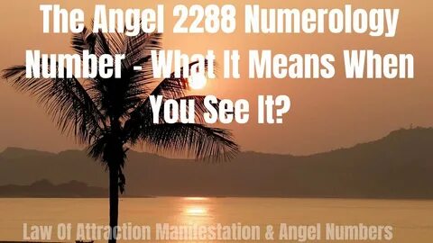 The Angel 2288 Numerology Number - What It Means When You Se