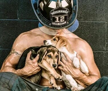 Top Ten Firefighter Calendars Firefighter calendar, Firefigh