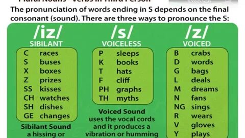 HOW TO PRONOUNCE THE FINAL S / S / أو / Z/ أو / IZ / - YouTu