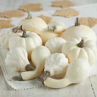 Assorted Harvest White Artificial Pumpkins and Gourds - Faux