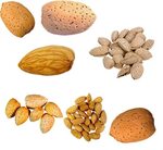 Nuts Clipart Tree Nut - Almond - Png Download - Large Size P