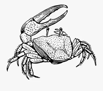 Crab Claw Clipart - Фото база