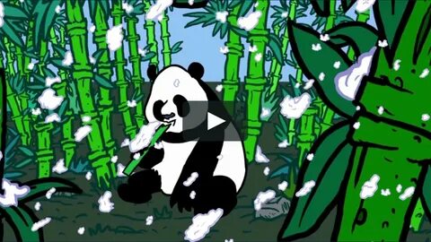 PANDY on Vimeo