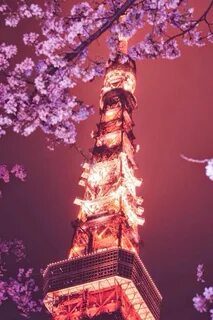The Tokyo Tower Eiffel tower at night, Japan, Eiffel tower
