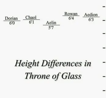 I’m the same height as Aelin! Throne of glass books, Throne 