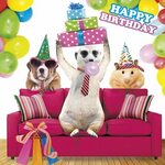 Anmol Happy Birthday - Birthday Gifts