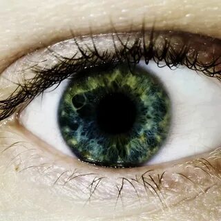 О чём говорит болотный цвет глаз у людей - медицинский справ