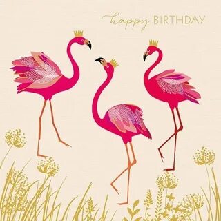 Flamingos Happy Birthday Card - QBAMBOO