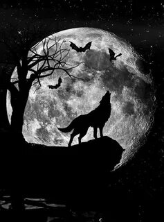 Howling at the moon Wolf artwork, Wolf howling, Wolf paintin