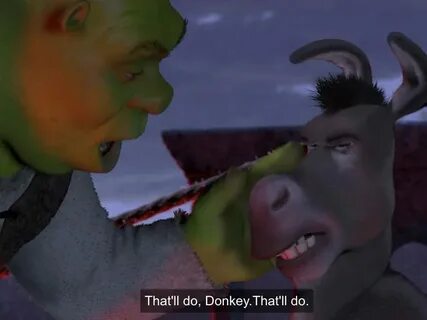 Donkey From Shrek Funny Pics - mavieetlereve