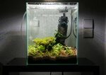 Best Filter For Nano Shrimp Tank - MUSICALMINORS.NET Blog