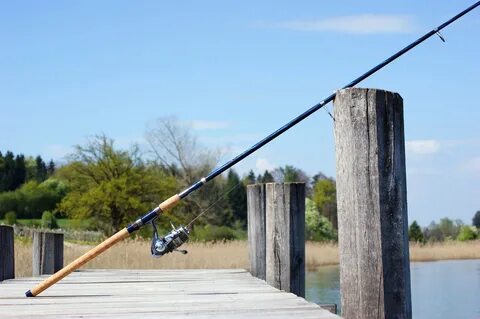 Alberta debuts 2020 fishing rules - My Lloydminster Now