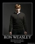 19 Ron Weasley Memes Only True Potterheads Will Appreciate R