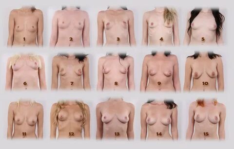 Different types of boobs nudes