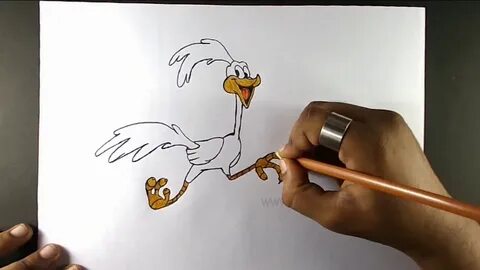 How to draw Roadrunner Easy Step by Step Drawing for Kids - 