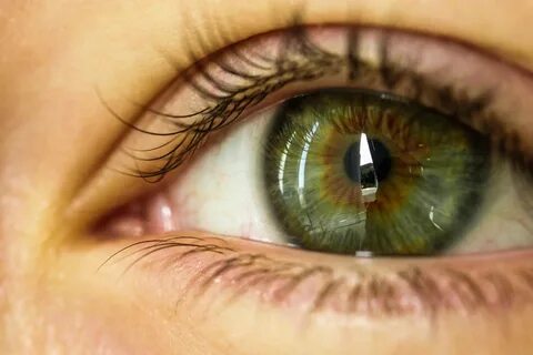 какие глаза считаются зелеными