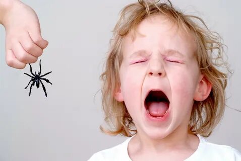 Angeborene Ängste und Abneigung - Warum wir Spinnen und Schl