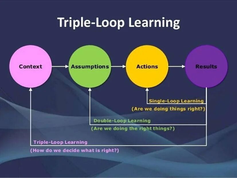 A) Single Loop Learning B) Double Loop Learning C) Triple Loop Learning...