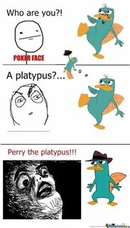 Perry the platypus Memes