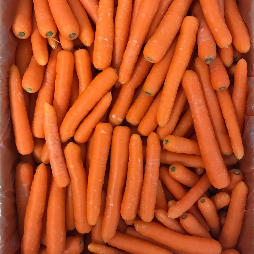 Steam carrot sticks фото 85
