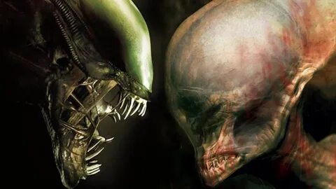 Alien Covenant: Covenant Xenomorph attacks a Neomorph? Proto