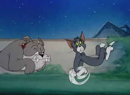 Chasing: Tom and Jerry Cartoon Images Tom and Jerry Chasing 