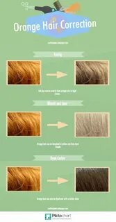 Gallery of 72 qualified bleaching hair color level chart - b