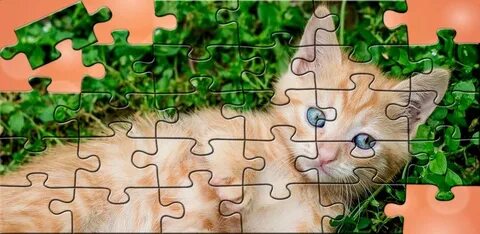 Puzzles for all APK download for Android Jigsaw Best Games