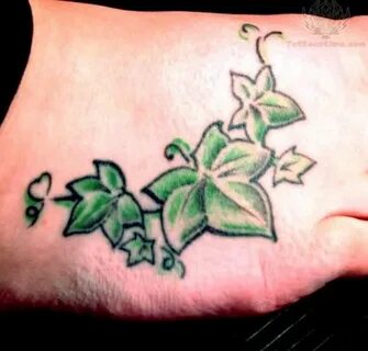 Ivy Tattoo Images & Designs