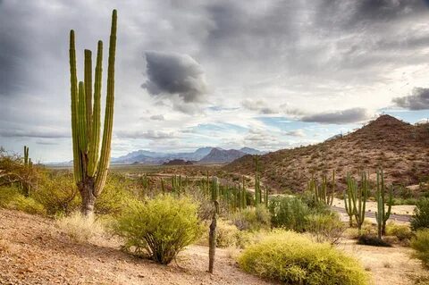 Baja California