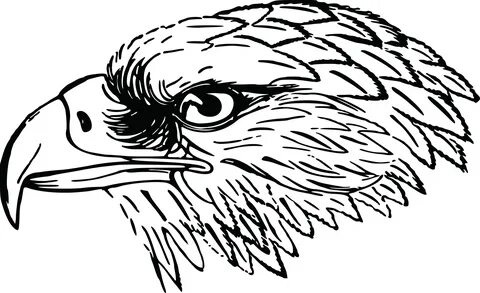 Eagle Clip Art Black and White Free Clipart Of A Black and W