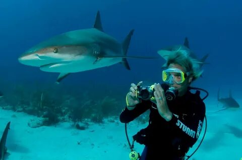 Shark Shooter Program - Stuart Coves - Bahamas Dive Shop & T