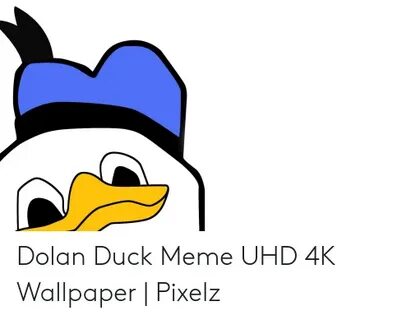 Dolan Duck Meme UHD 4K Wallpaper Pixelz Meme on ME.ME