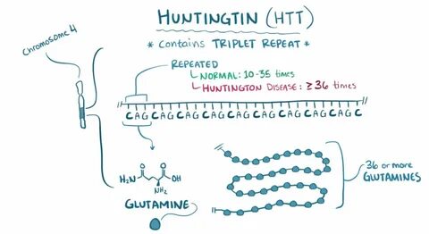 Huntington’s Disease - Serious Science