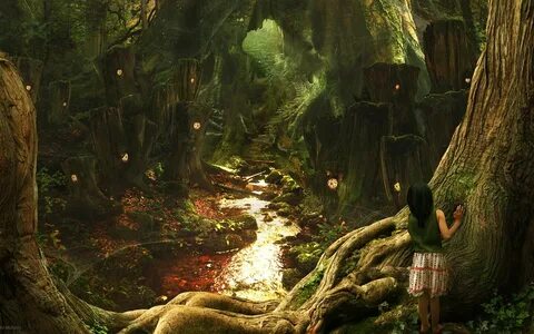 Fairytale Forest Fairy tale forest, Fantasy landscape, Fanta