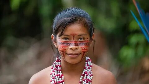 MDB Indígena Tribos, Tribo indigena, Indígena