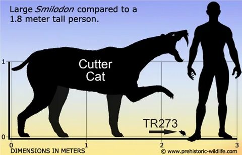 Predators and Prey Page 373 Fur Affinity Forums