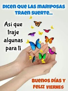 Pin de Marta C en mariposas, frases, positivas... Imagenes d