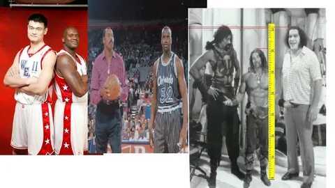 andrethegiantyaomingwiltshaq Andre the Giant, Wilt Chamber. 