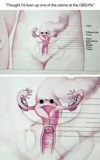 Funny Pic Dump (3.5.15) Funny pictures, Obgyn humor, Funny