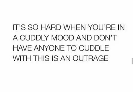 seriously thinking about making a cuddle buddy application. 