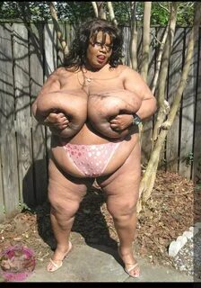 NORMA STITZ, Фото альбом Boobpedia Natural Tits - XVIDEOS.CO