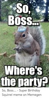 🐣 25+ Best Memes About Birthday Squirrel Birthday Squirrel M