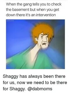 Shaggy Memes