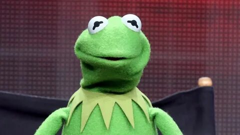 Kermit the Frog: There's no new lady (pig) in my life - CNN