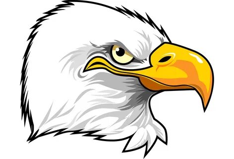 Cartoon Eagle Head - ClipArt Best